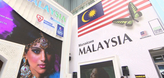 Малайзия павильоны «Көбелек әсері» және «Жастар апталығы» экоакциясын бастады 