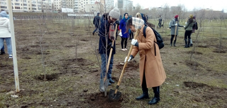 Астанада 300 түп шие көшеті отырғызылды